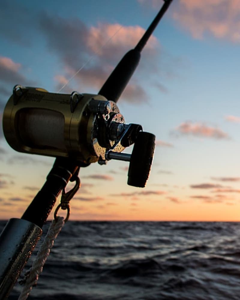 Fishing Charter