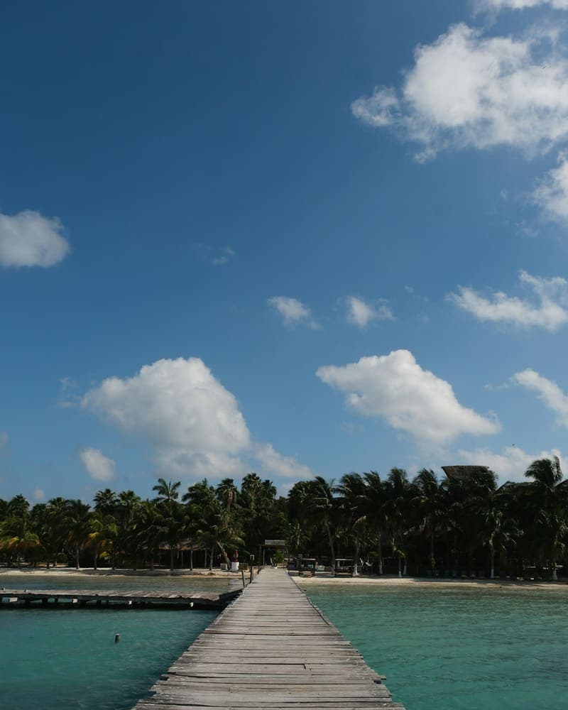 Island Transfer